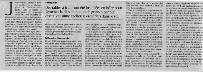 Article paru dans le journal du Figaro - Le geai des chênes